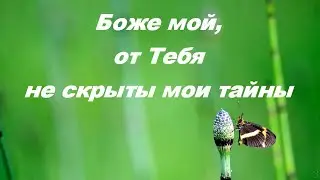 Боже мой, от Тебя не скрыты мои тайны (2) - cтарые Христианские песни