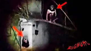 WHAT ON EARTH ARE THOSE CREATURES? | STRANGE CREATURES CATCHING ON CAMERA 2021