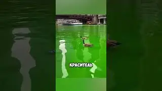 Секрет, который скрывает река Чикаго 🤯 