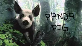 Progressive House Mix By Dj Panda Pig