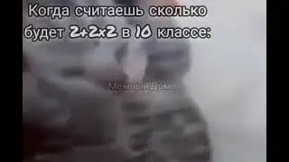 Кот орёт:
