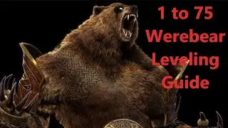 1 to 75 Leveling Guides For Werebear Druid NO EQ NO Roots 0.8.2I