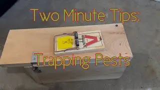 Two Minute Tips: Simple Rodent and Pest Trapping