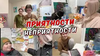 Новое письмо. Кира заболела. Тест вытяжки для маникюра и наглость собак.