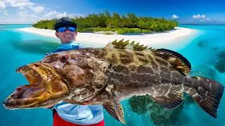 REMOTE Island LOADED with Fish! Catch Clean Cook (Bahamas Fishing)