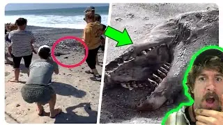 Unexplained Things That Will Make You Say WHAT?