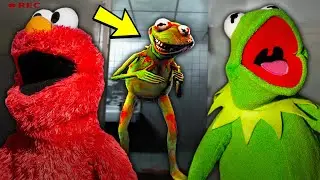 Do NOT Trust Kermit The Frog!