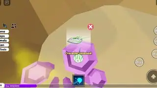 LOCATIONS for Stringrays! (animal sim: underwater)