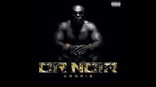 Kaaris -Zoo instrumental fl studio remake