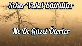 Seher Vakti Bülbüller