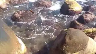 Playa Caletilla 4 (Acapulco)