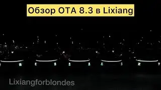 Lixiang OTA 8.3 Firmware Review