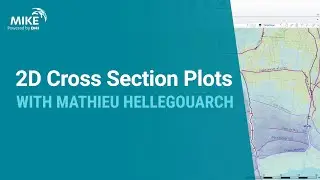 MIKE+ | 2D Cross Section Plots