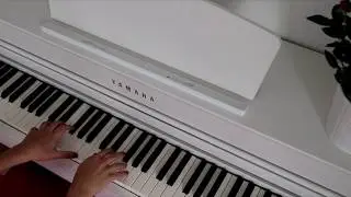 Růže - Calin & STEIN27 / piano