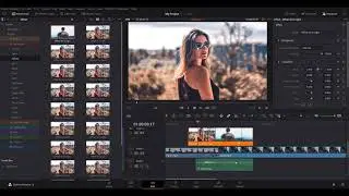 FX Presets Bundle for DaVinci Resolve