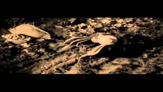 Uaral-Sembrado de Melodías y Lamentos