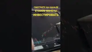В какие монеты инвестировать на криптовалютном рынке