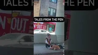 Is it bad when I see a dog with A Homeless person   I feel bad for the dog? #HomelessinNYC #NYC