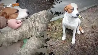 Верный друг и главный помощник наших воинов