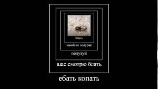 полурак полухуй