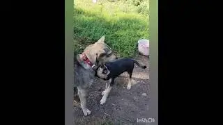 Прогулка))))