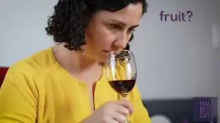 Malbec Bay Wine Tasting Tutorial