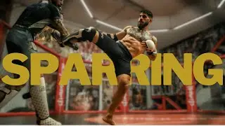 Ilia Topuria HARD SPARRING Analysis