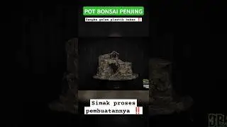 POT BONSAI PENJING ‼️#potrelief #potpenjing #potbonsai #potunik #potcement ,