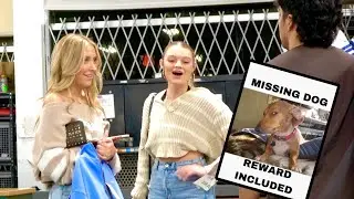 Ugly Missing Dog Prank
