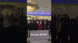 şevko halayı #keşfet #kurdishmusic #diyarbakır #düğün #halay #weddingmusic
