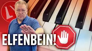 Achtung Elfenbein! Was Sie ab dem 19.01.2023 beachten müssen! - Maiwald - Wissen 16