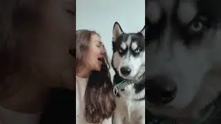 У всех есть серьезный друг, который не улыбается на фото)