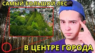 Самый БОЛЬШОЙ и СУРОВЫЙ ЛЕС в центре города / Более 1000 га леса