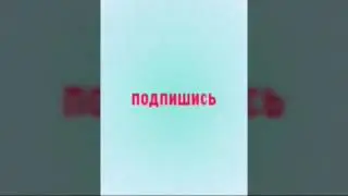 Обзор приложения shaert