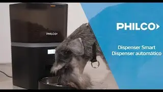 Alimentadores para mascotas - Catálogo