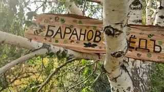 Обзор пасеки 24/07/2022