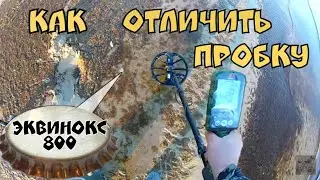 Эквинокс 800. Как отличить пробку на пляже . А это работает.