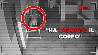 FANTASMI RIPRESI in OSPEDALE