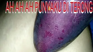 AH AH AH PUYA SAYA DI MASUKIN TERONG YANG BESAR