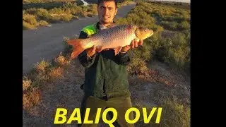 Baliq ovi  _ #Подписаться Qilishni Unutmang 😆😆☝️😉😉👍🤘