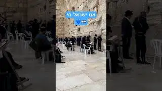 Israel ישראל 🇮🇱 #israel #ישראל כותל Kotel western wall Jerusalem