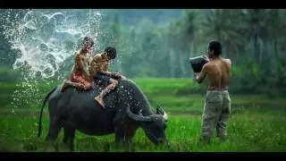 EM ĐI TRÊN CỎ NON - TẤN SƠN