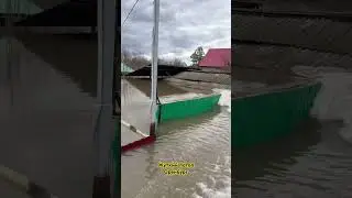 Паводок застал врасплох Оренбург #оренбург #орен #оренбург56
