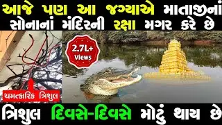 અંહી માતાજીની મગર આજે પણ કરે છે સોનાનાં મંદિરની રક્ષા | અંહી દરરોજ વધે છે ત્રિશુલ