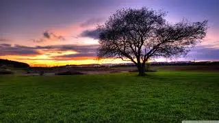 Ciro Visone & Semper T. - Crowning Moment [Suanda Dark]