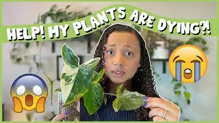 5 Plants That Are STRUGGLING Right Now 😭😭