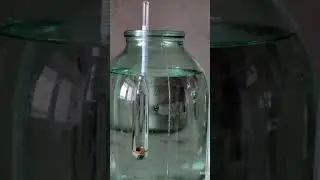 80 градусов