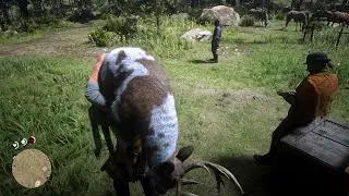 RDR2 - Gang reaction if you wear the Legendary Animal for too long