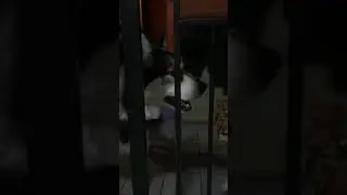 Let me sing you the song of my people