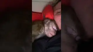 Друзья мы создали телеграмм канал )) теперь будем чаще встречаться 